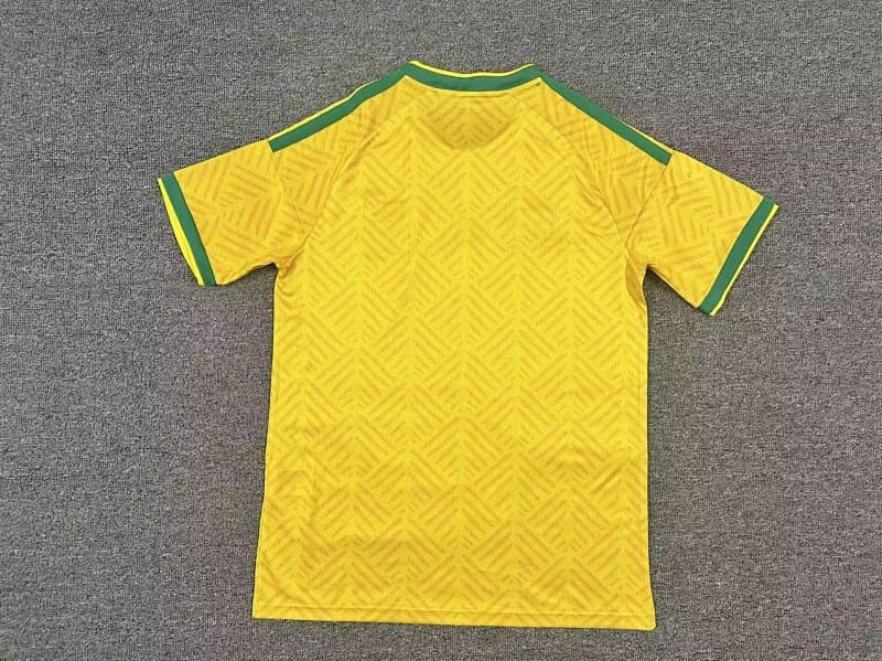 Camisa África do Sul Titular 2026 — Versão Torcedor — foto 2